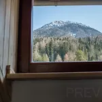 Vakantiehuis Our Second In Kranjska Gora